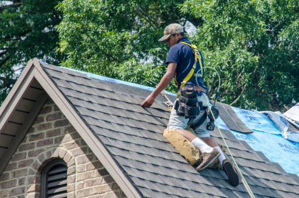 Best Shingle Roofing Installation  in Lockwood, MO